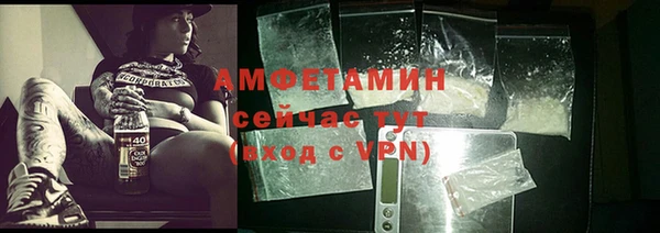 крисы Абаза