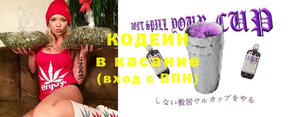 крисы Абаза