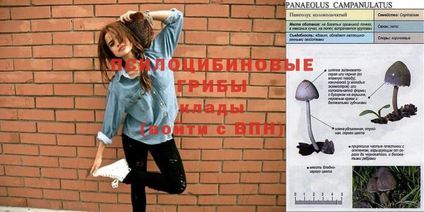 гидра Навашино