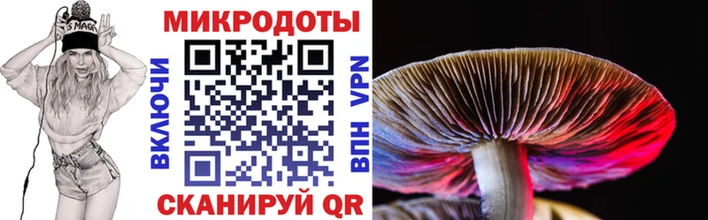 Псилоцибиновые грибы MAGIC MUSHROOMS  Поворино 